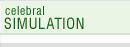 celebral simulation